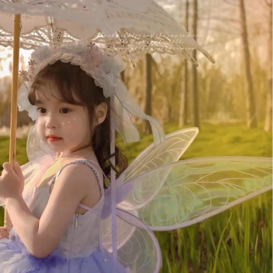 Princess Butterfly Fairy Wing  - Elf Costume Christmas recensie en prijs